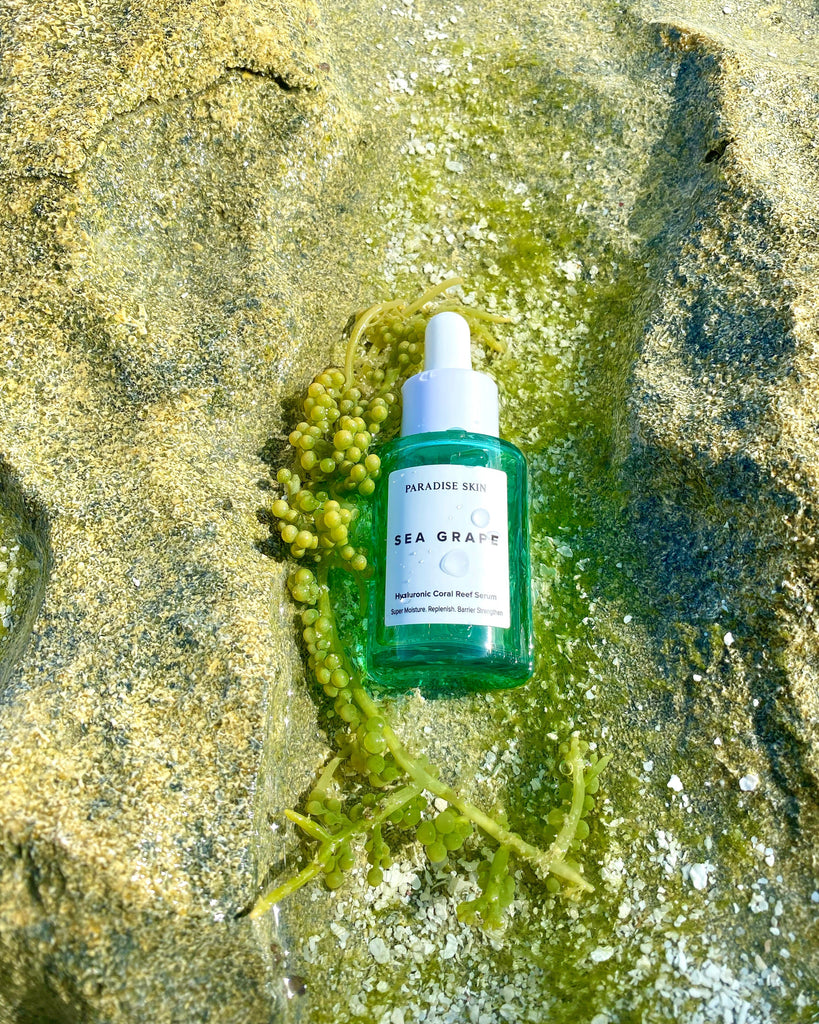 Seagrapes: Superfood Transforming Skincare